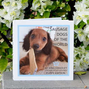 Sausage Dogs of the World V2 'Puppy Edition'