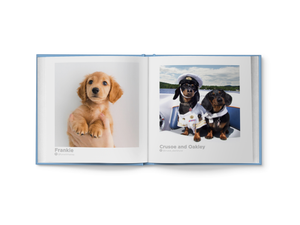 Sausage Dogs of the World V1 'Limited Copies Left'