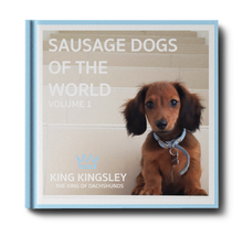 Load image into Gallery viewer, Sausage Dogs of the World V1 &#39;Limited Copies Left&#39;
