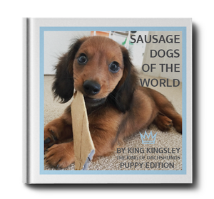 Sausage Dogs of the World V2 'Puppy Edition'